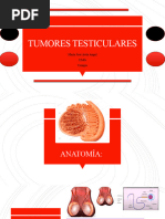 CA Testicular