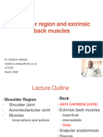 1 Shoulder Region, Shoulder Joint and Superficial Back - 2 Feb