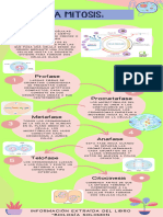 Infografía - Mitosis