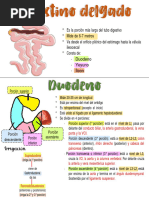 Copia de Flashcards 