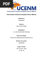 Informe de Trabajo Ejercicios Prácticos No.3 - 222020009