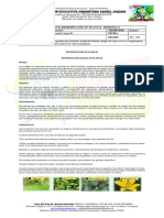 Guia Bio 8-4 Reproduccion Sexual en Plantas