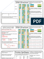 DNA Structure and Protein Synthesis Simple Science Worksheets