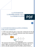 Processi Energetici Cellulari 2