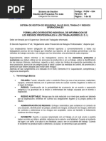 Sistema de Gestión Gestión de Proyectos Pro Ltda Código: P-DIV - 034 Versión: 00 Página: 1 de 32