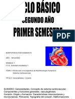 MFH Iv PPT 1