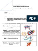 CUESTIONARIO 2. Bacterias