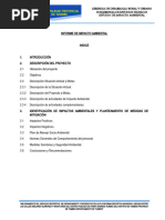 Informe Impacto Ambiental