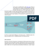 MBT31 - Proteomics Notes