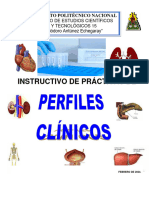 Instructivo de Perfiles Clínicos 2024