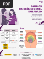 Expo 2 - Cambios Fisiologicos Del Embarazo