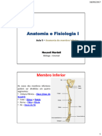 Anatomia e Fisiologia I - Aula 5 - Membro Inferior