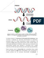 Artigo Encontro 3 Pós - SÍNTESE PROTEICA