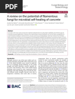 A Review On The Potential of Filamentous Fungi For Microbial Self-Healing of Concrete