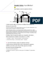 Actividades Tema de La Célula