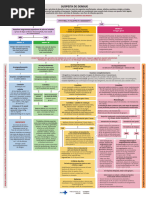 Fluxograma Manejo Clinico Da Dengue