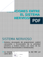 Relacion Sistema Nervioso - Endocrino