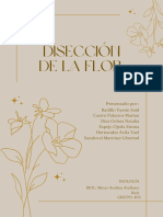 Disección de Una Flor