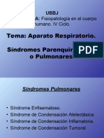 Sindromes Parenquimatosos 2