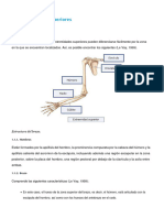 Anatomia R (I)