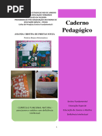 CADERNO PEDAGÓGICO - Currículo Funcional Natural para Jovens e Adultos Com Deficiência Intelectual