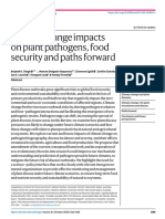 Climate Change Impacts On Plant Pathogens, Food Security and Paths Forward