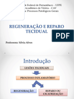 Aula 7 Regeneração e Reparo Tecidual