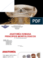 Presentacion - ANATOMIA - Seminario 1 - FEBRERO 2024