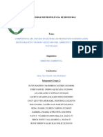 Informe Derecho Ambiental Tema 1. Grupo 2