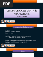 Pathology 1 Cell Injury Adaptaions and Death