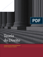 Teoria Do Direito