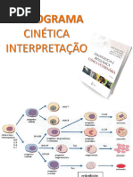 Cinetica Leucocitaria-1