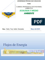 8 La Energia en Los Sistemas