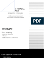 Org-116634 School-117754 AULA 4 - Pulmão e Coração Roteiro