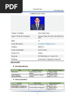 Curriculum Vitae-Silvia Tapia Yujra.