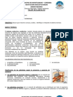 Taller No 011 Sistema Endocrino-Hormonas