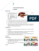 Web App Pancreatitis Aguda Actualizacion 2020-2021