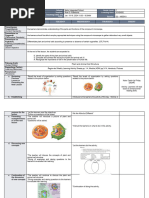 WEEK 8 - SCIENCE 7 - Copy From 5