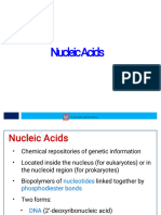 Nucleic Acid