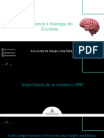 Curso Anatomia e Fisiologia Do Encéfalo