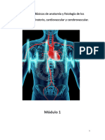 Conceptos Básicos de Anatomía y Fisiología M1