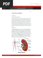 Pressbooks Bccampus Ca Advancedanatomy1sted Chapter Visceral Organs 2