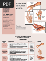 Patología Del Aparato Locomotor - Miembros Superiores