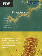 Fitoplancton