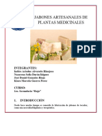 Informe Jabones Artesanales de Plantas Medicinales