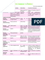 Glandulas Endocrinas