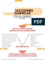 Reacciones Quimicas V de Gowin