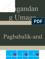 Pamahalaang Lokal