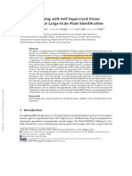 Transfer Learning With Self-Supervised Vision Transformer For Large-Scale Plant Identification