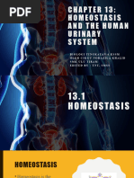 Bio t4 DLP KSSM Chapter 13